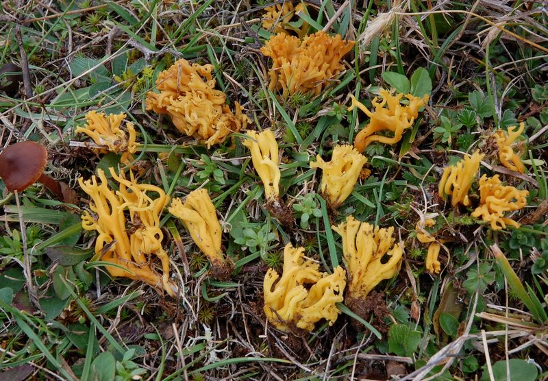 Un Giorno a Castelluccio